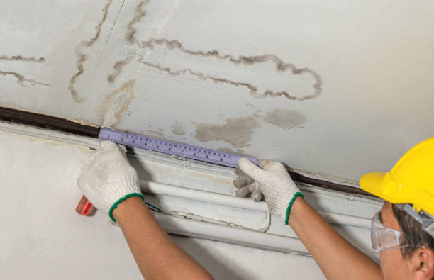 Reliable Mold Remediation contractor in Providence, RI by Local Water Damage Repair